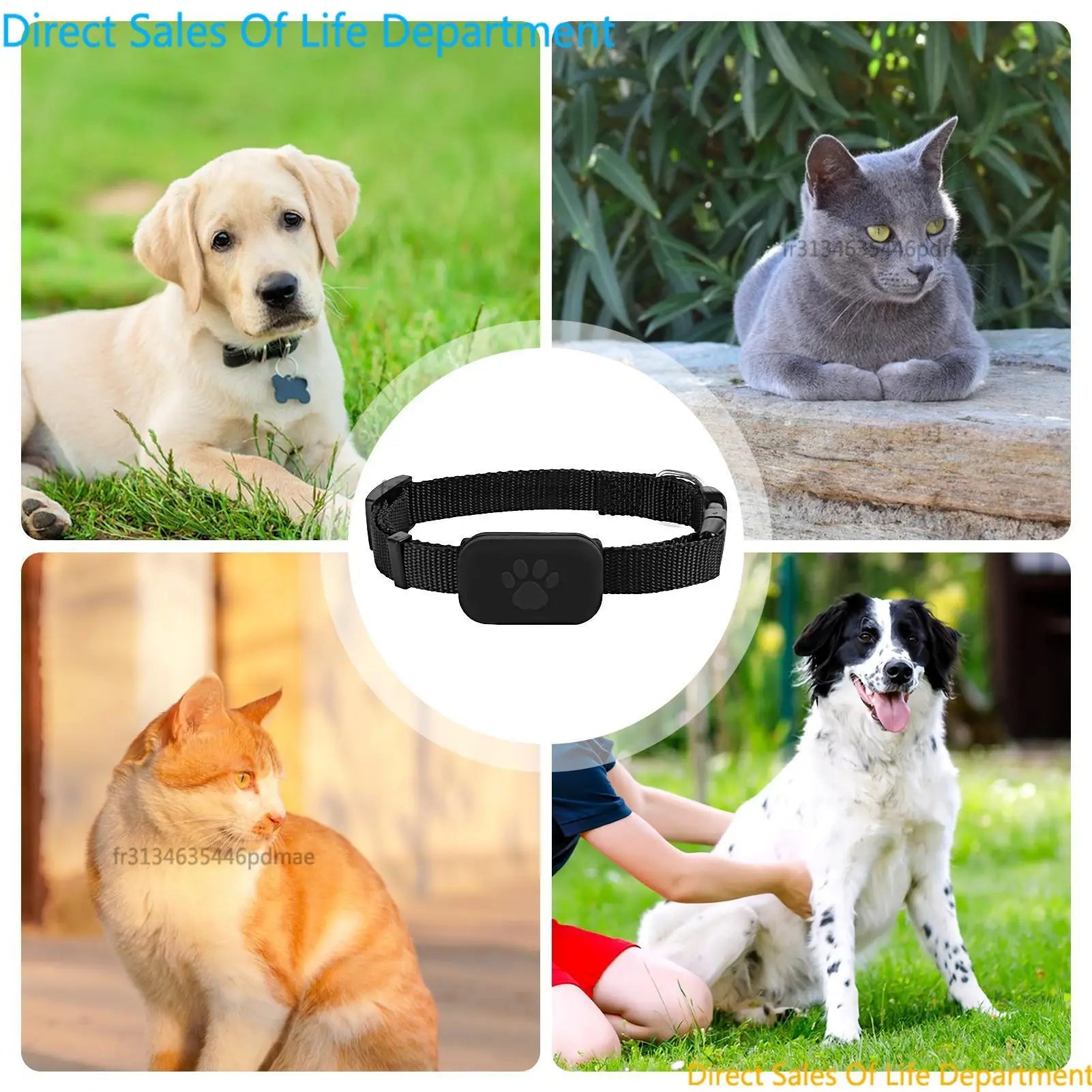 Collar GPS Inteligente para Gatos 2026 | Rastreador Multifunción para Mascotas con Sistema Dual