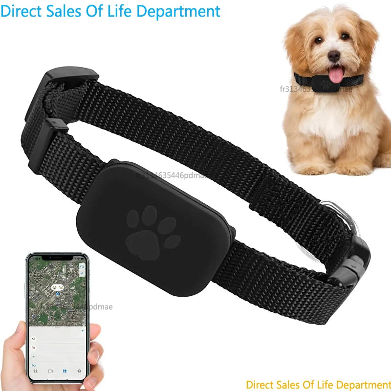 Collar GPS Inteligente para Gatos 2026 | Rastreador Multifunción para Mascotas con Sistema Dual
